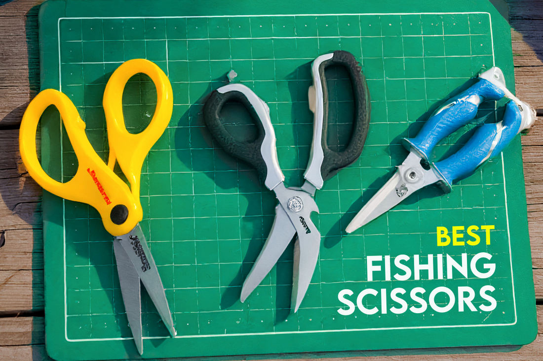 The Complete Guide to Maintaining and Caring for Your Fishing Scissors