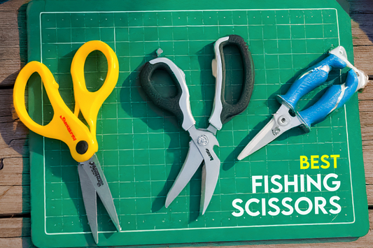 The Complete Guide to Maintaining and Caring for Your Fishing Scissors