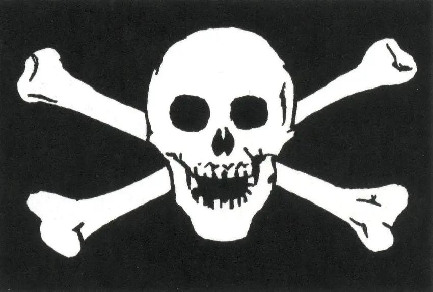 Flags Crossbones 7145 Flag - Durable 3x5 Feet Polyester Flag With Metal Grommets For Outdoor Display by Flags