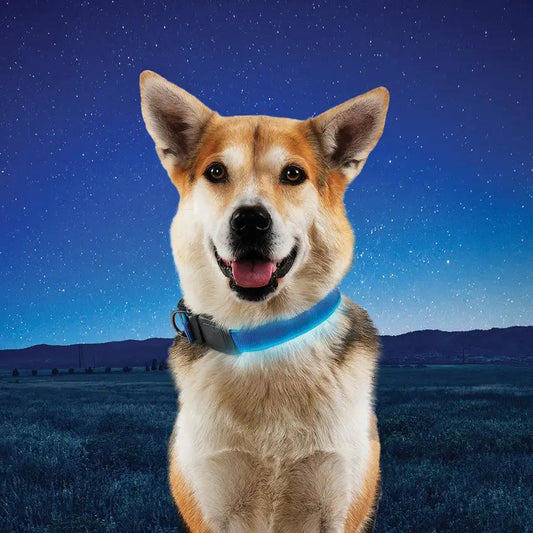 Nite Ize LED Dog Collar Large 360 Degree Visibility Rechargeable Safety For Large Dogs by Nite Ize