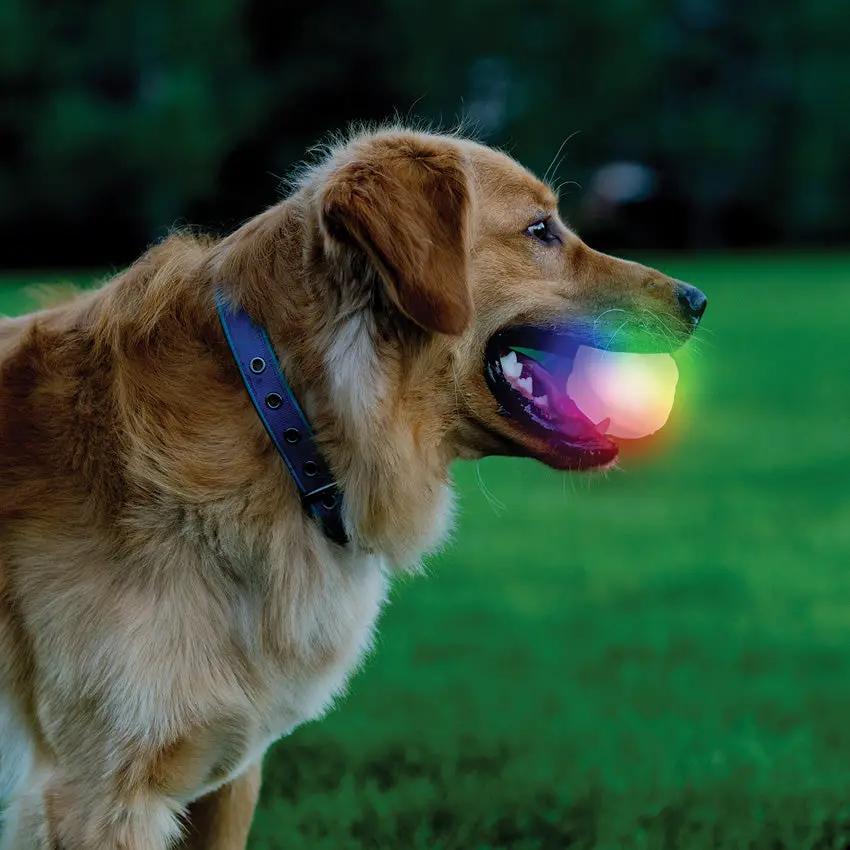 Nite Ize Glowstreak Wild LED Ball Dog Toy Motion Activated Rainbow Spectrum LED For Outdoor Fetch For Active Dogs by Nite Ize