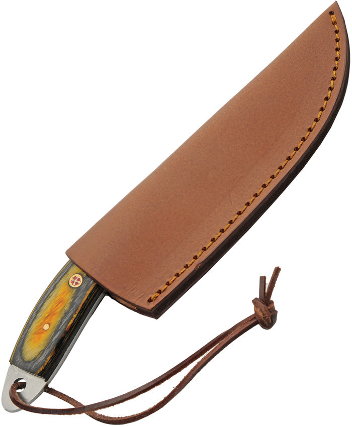 Pakistan Bruin Skinner 203513 by Pakistan