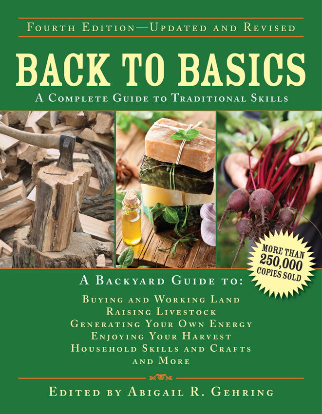 Books Back to Basics 978-1-62914-369-9