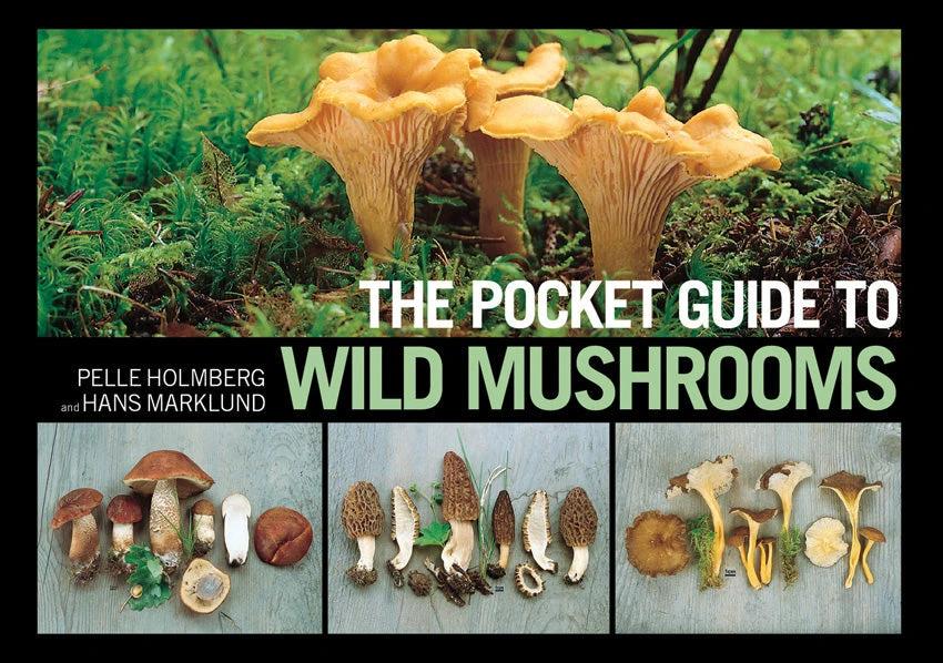 Books Pocket Guide To Wild Mushrooms BK400 by Books