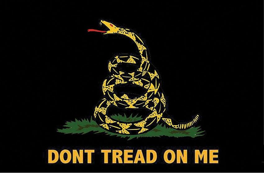 Flags Black Gadsden Flag R7254 by Flags