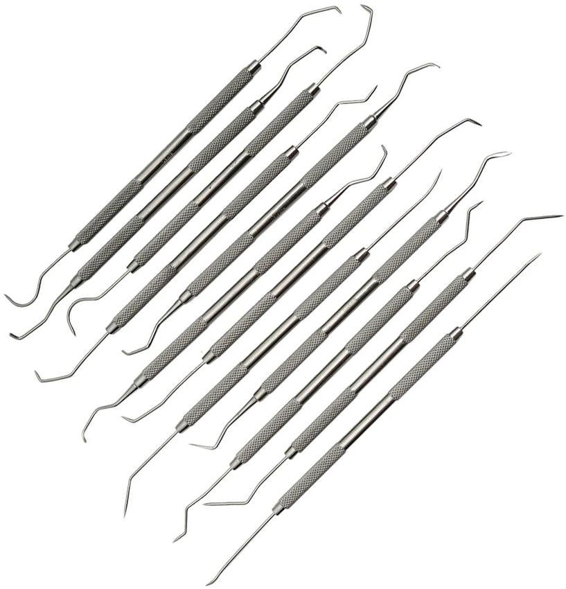 Pakistan Dental Pick Set 12 Pc Assorted 100327-12