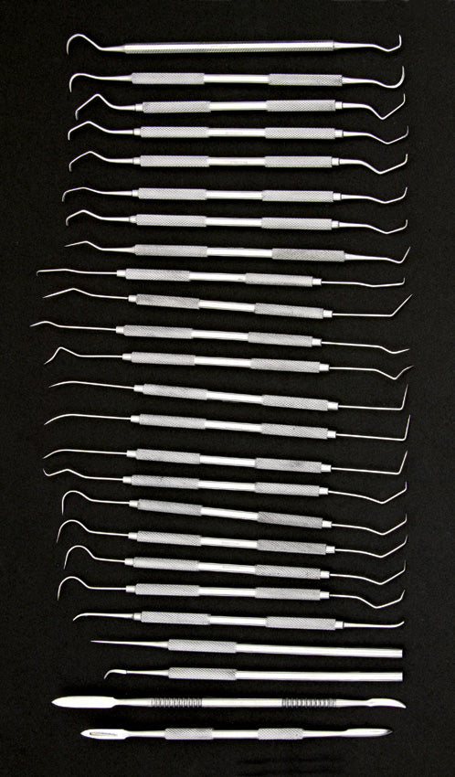Pakistan 25 Piece Dental Pick Set 100327-25