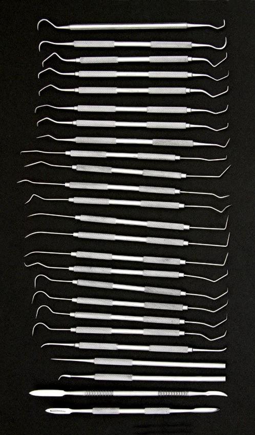 Pakistan 25 Piece Dental Pick Set 100327-25