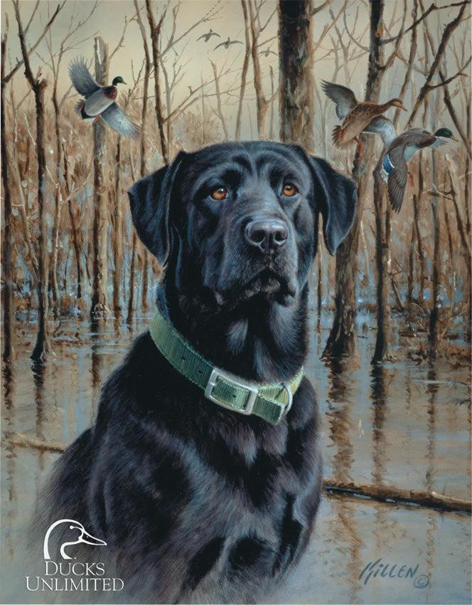 Tin Signs Ducks Unlimited 1203 by Tin Signs