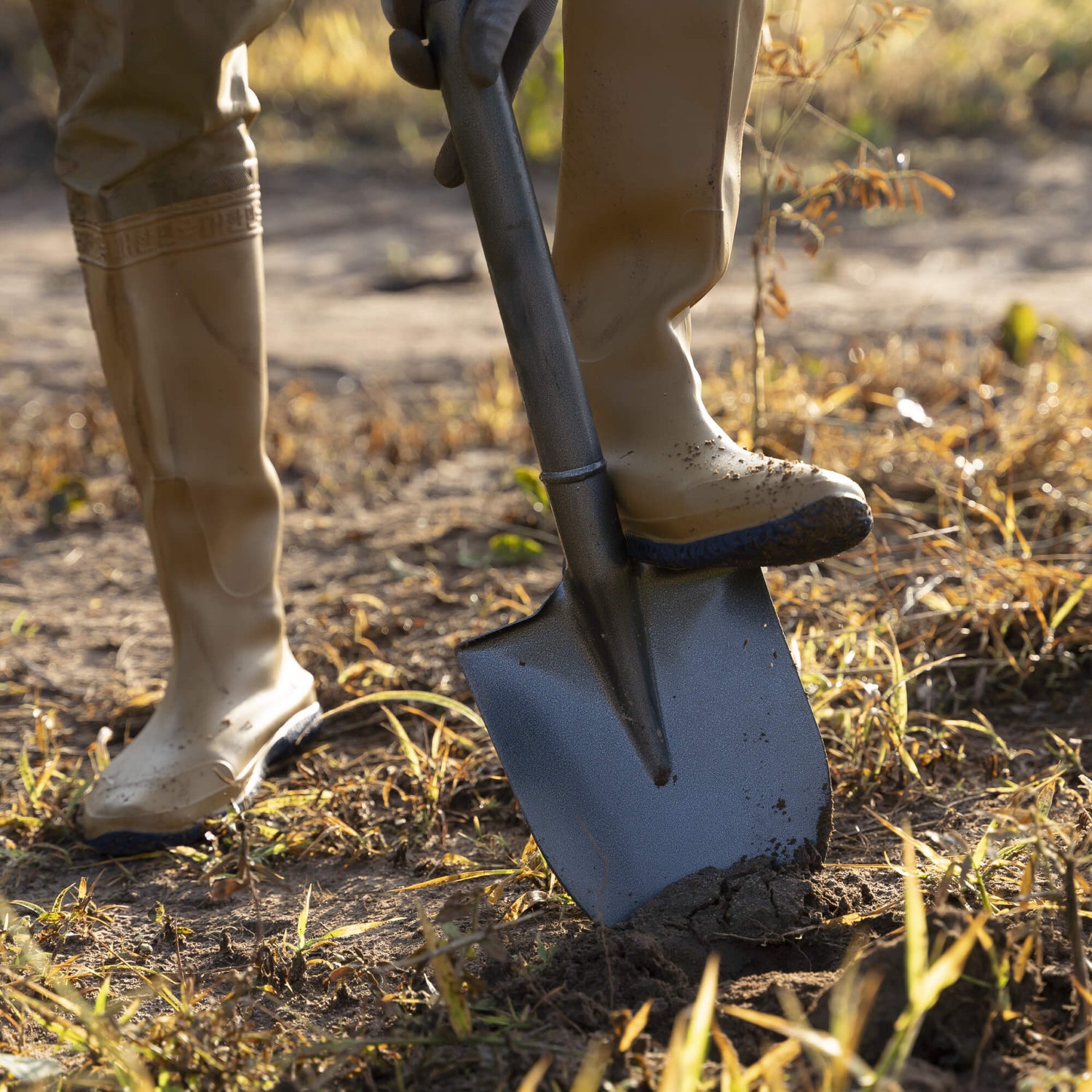 Shovels and Spades