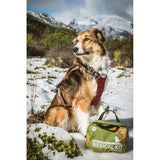 Adventure Medical Dog First Aid Kit Workin Dog Comprehensive Outdoor Emergency Medical Kit For Hikers by Adventure Medical