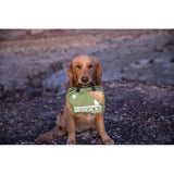 Adventure Medical Dog First Aid Kit Workin Dog Comprehensive Outdoor Emergency Medical Kit For Hikers by Adventure Medical
