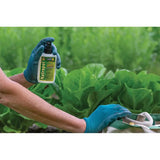 Adventure Medical Natrapel Mosquito Repellent DEET-Free Lemon Eucalyptus Up To 6 Hours For Outdoor Adventurers by Adventure Medical