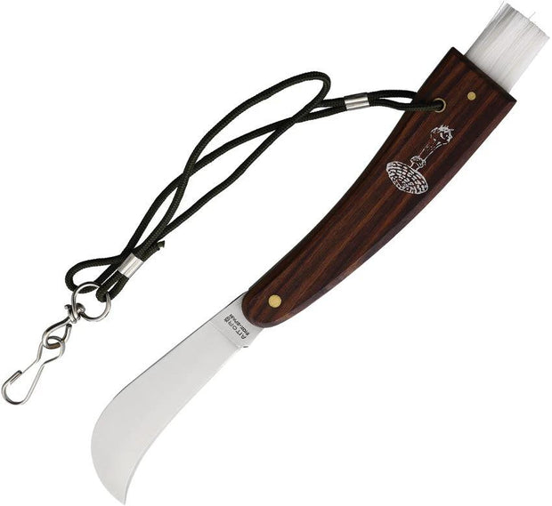 Aitor Mushroom Pocket Knife Five Point Five Inch Closed With Three Inch Satin Blade Wood Handle Lanyard Clip Edc by Aitor