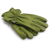Barebones Living Classic Work Glove Olive L/XL Premium Grain Cowhide Keystone Thumb Stitch Shirred Elastic Back For Pros by Barebones Living