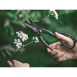 Barebones Living Pruning Shears GDN049 Premium 8 Inch Ambidextrous Grip Rust Resistant For Gardeners by Barebones Living