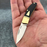 Begg Knives Mini Hunter Slip Joint Knife For EDC Enthusiasts Premium Black G10 Handle Satin 14C28N Blade by Begg Knives