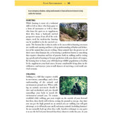 Green Beret Bushcraft Guide Ultimate Eight Pillars Of Survival For Outdoor Adventurers By Brian M Morris by Books