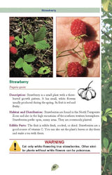 Edible Plants Pocket Guide For Foragers And Outdoor Enthusiasts Safe Foraging Identify Prep US Army by Books