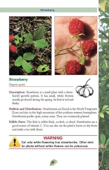 Edible Plants Pocket Guide For Foragers And Outdoor Enthusiasts Safe Foraging Identify Prep US Army by Books