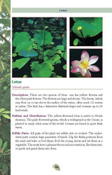 Edible Plants Pocket Guide For Foragers And Outdoor Enthusiasts Safe Foraging Identify Prep US Army by Books