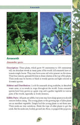 Edible Plants Pocket Guide For Foragers And Outdoor Enthusiasts Safe Foraging Identify Prep US Army by Books