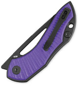 Bestech Knives Triassic Linerlock EDC Knife With Purple G10 Handle 2.5 Inch Drop Point Blade PVD Coated by Bestech Knives