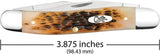 Case Cutlery Muskrat Amber Bone Pocket Knife 3.88 Inch Closed Mirror Finish Stainless Dual Clip Blades For Collectors by Case Cutlery