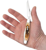 Case Cutlery Muskrat Amber Bone Pocket Knife 3.88 Inch Closed Mirror Finish Stainless Dual Clip Blades For Collectors by Case Cutlery