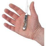 Case Cutlery Peanut Abalone Folding Knife Mirror Finish Blades For Collectors Gift Box 2.88 Inch Closed by Case Cutlery