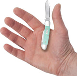 Case Cutlery Baby Butterbean Two Blade Knife Seafoam G10 EDC Pocket Knife For Collectors And Enthusiasts by Case Cutlery