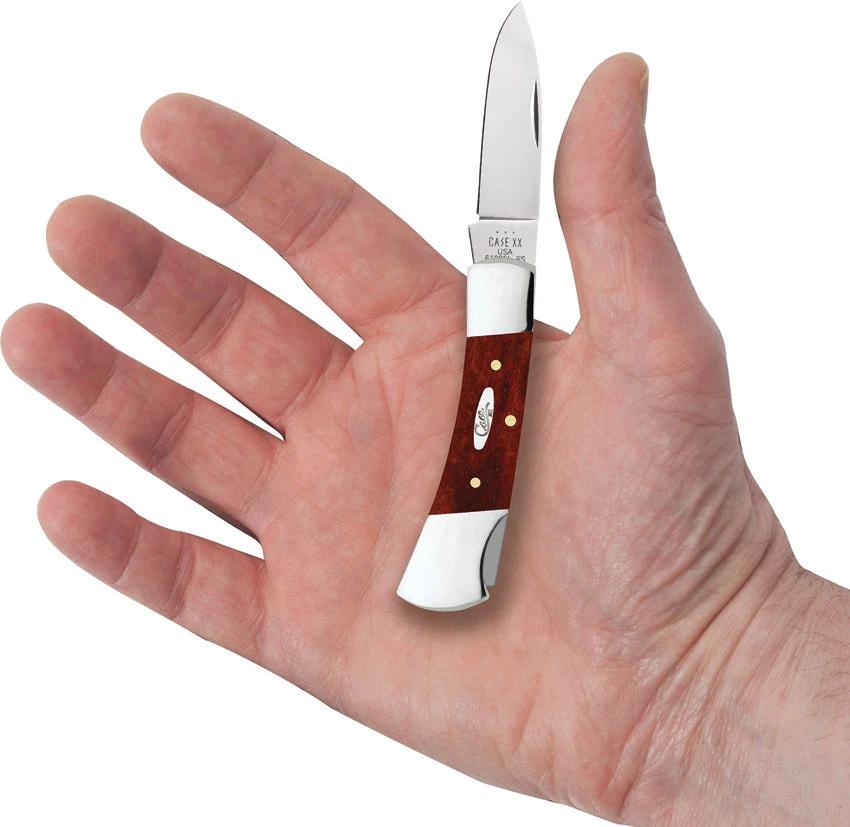 Case Cutlery Lockback Chestnut Folding Knife 3 In Blade Mirror Finish Bone Handle For Collectors by Case Cutlery
