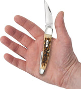 Case Cutlery Seahorse Whittler Amber Bone Pocket Knife 4 Inch Closed For Collectors And EDC by Case Cutlery