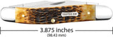 Case Cutlery Muskrat Folding Knife Burnt Amber Jigged Bone With Dual Clip Mirror Blade For Collectors by Case Cutlery