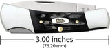 Case Cutlery Lockback Jigged Buffalo Horn Handle Knife 3in Closed For Collectors by Case Cutlery