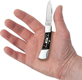 Case Cutlery Lockback Jigged Buffalo Horn Handle Knife 3in Closed For Collectors by Case Cutlery