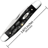 Case Muskrat Pocket Knife For Collectors Buffalo Horn Handle Stainless Steel Dual Clip Blades 3.88 Inch Closed by Case Cutlery