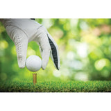 Caliber Gourmet Tactical Golf Tees Bullet Shaped Pack Of 50 For Golfers Boxed With Hang Tab by Caliber Gourmet