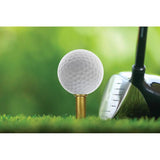 Caliber Gourmet Tactical Golf Tees Bullet Shaped Pack Of 50 For Golfers Boxed With Hang Tab by Caliber Gourmet