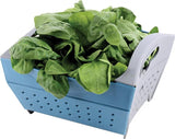 Coghlan's Snapfold Colander 3 Quart Collapsible with Dual Handles for Campers and RVers by Coghlan's