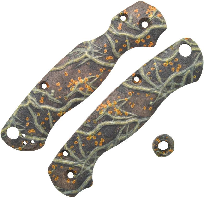 Chroma Scales Para 2 Roots Scales 1001-0007-001-BA by Chroma Scales