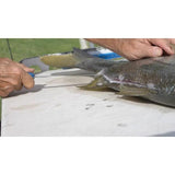 Camillus AquaTuff Fillet Knife 9 Inch Blade Zirconium Carbide Stainless Ergonomic Blue Handle For Anglers by Camillus