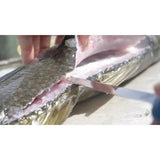 Camillus AquaTuff Fillet Knife 9 Inch Blade Zirconium Carbide Stainless Ergonomic Blue Handle For Anglers by Camillus