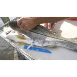 Camillus AquaTuff Fillet Knife 9 Inch Blade Zirconium Carbide Stainless Ergonomic Blue Handle For Anglers by Camillus