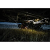Coast PX20 Flashlight Powerful Dual Color White Red Beam 315 Lumens 3 AAA Included For Outdoor EDC by Coast