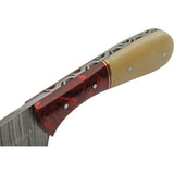 Damascus Skinner Camel Bone Red DM-1370RD - Full Tang Damascus Blade With Camel Bone And Red Acrylic Handle by Damascus