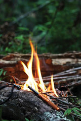 Exotac nanoSTRIKER XL Firestarter - Wet Weather Ready Ferro Rod And Ultra Sharp Tungsten Strike Tool by Exotac