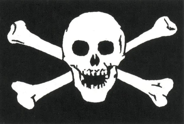Flags Crossbones 7145 Flag - Durable 3x5 Feet Polyester Flag With Metal Grommets For Outdoor Display by Flags
