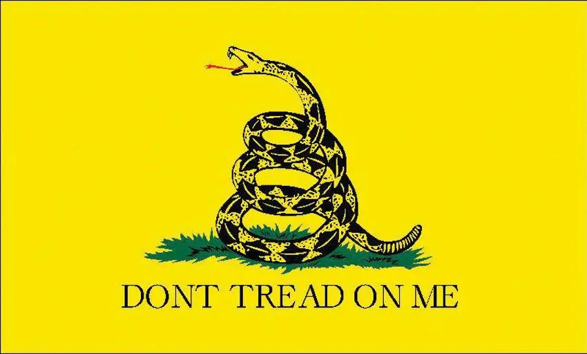 Flags Gadsden Flag 3x5 Nylon With Two Metal Grommets Packaged For Easy Outdoor Display by Flags