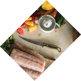 Gerber Ceviche Fillet Knife 7 Inch Fixed Blade For Anglers Pro Grade Stainless SaltRx Finish by Gerber